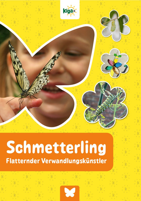 Schmetterling – Flatternder Verwandlungskünstler – Gesamtpaket